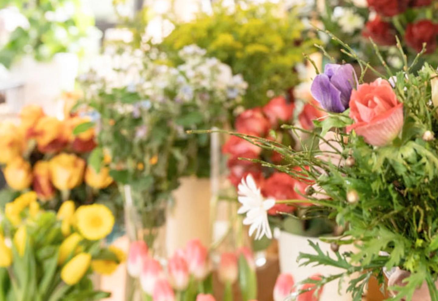 Blumen & Sträuße 8