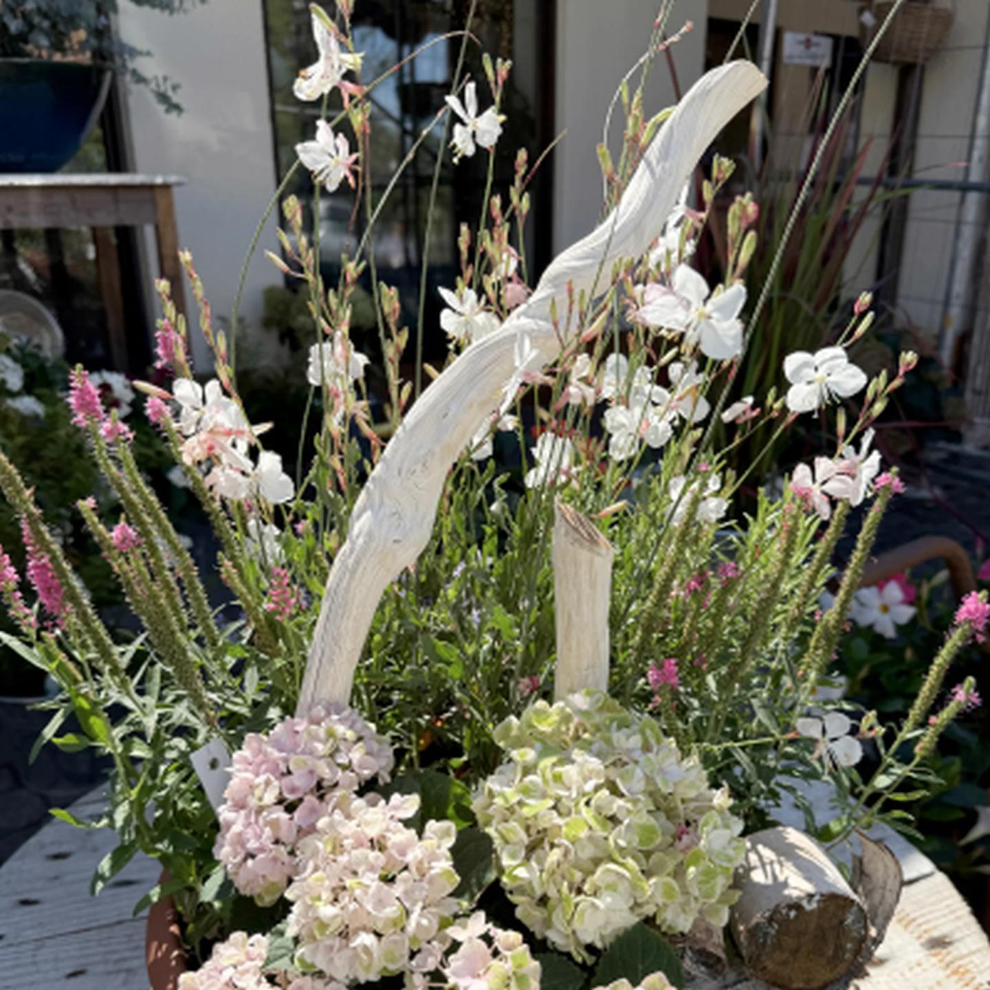Blumenhaus Feucht Leistungen Vorschaubild Pflanzen Innen Draussen